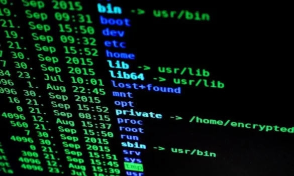 Meta Character in Linux